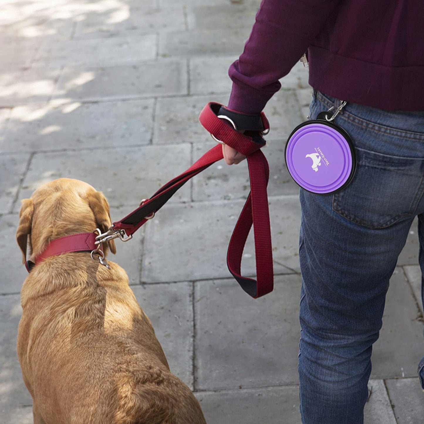 Collapsible Travel Dog Bowls - 2-Pack Portable Feeding and Watering Dishes for Pets, Foldable Design with Carabiners, BPA Free (Purple & Pink, Small)
