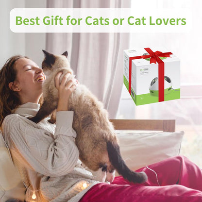 Hidey Mouse Interactive Electronic Cat Toy with Catnip-Filled Squeaky Mouse for Indoor Play (Green)