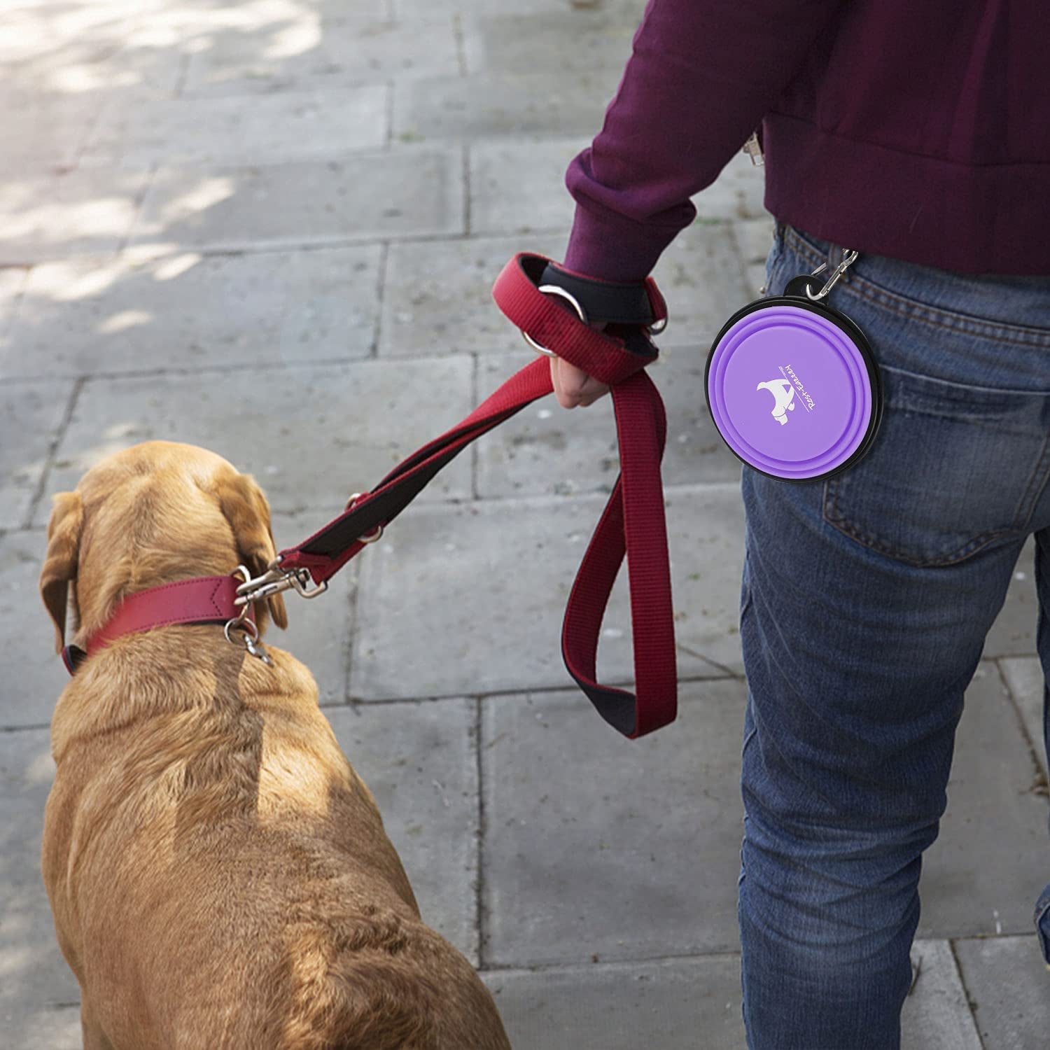 Collapsible Travel Dog Bowls - 2-Pack Portable Feeding and Watering Dishes for Pets, Foldable Design with Carabiners, BPA Free (Purple & Pink, Small)