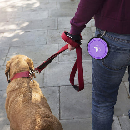 Collapsible Travel Dog Bowls - 2-Pack Portable Feeding and Watering Dishes for Pets, Foldable Design with Carabiners, BPA Free (Purple & Pink, Small)