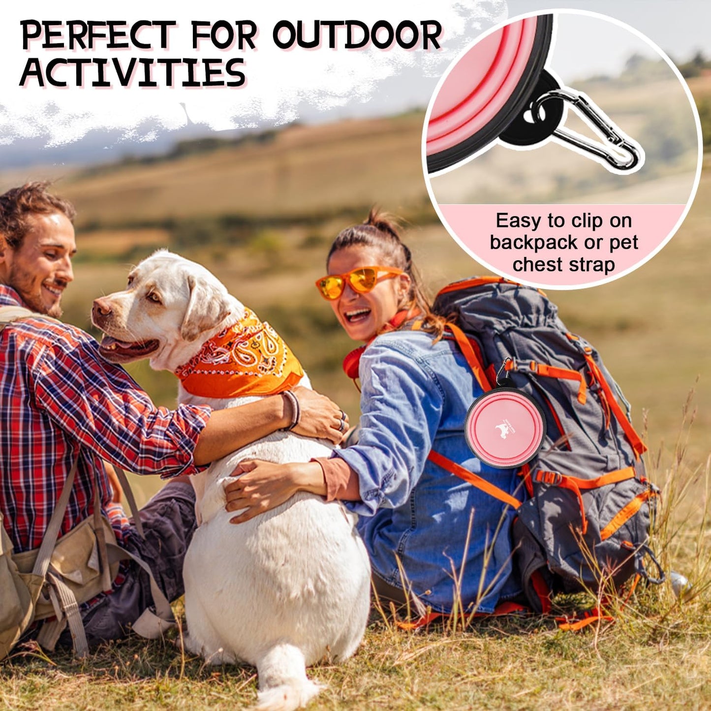 Collapsible Travel Dog Bowls - 2-Pack Portable Feeding and Watering Dishes for Pets, Foldable Design with Carabiners, BPA Free (Purple & Pink, Small)