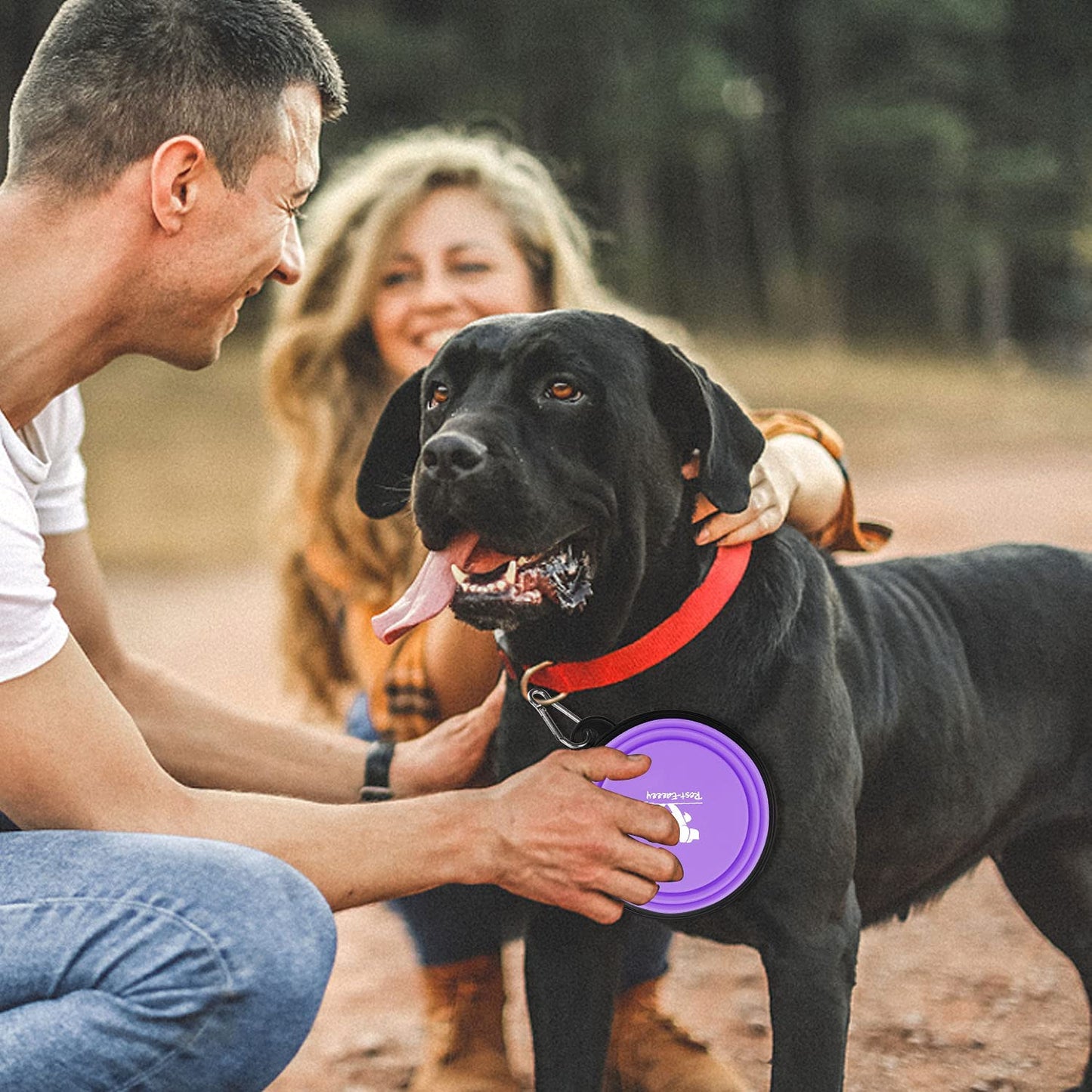 Collapsible Travel Dog Bowls - 2-Pack Portable Feeding and Watering Dishes for Pets, Foldable Design with Carabiners, BPA Free (Purple & Pink, Small)
