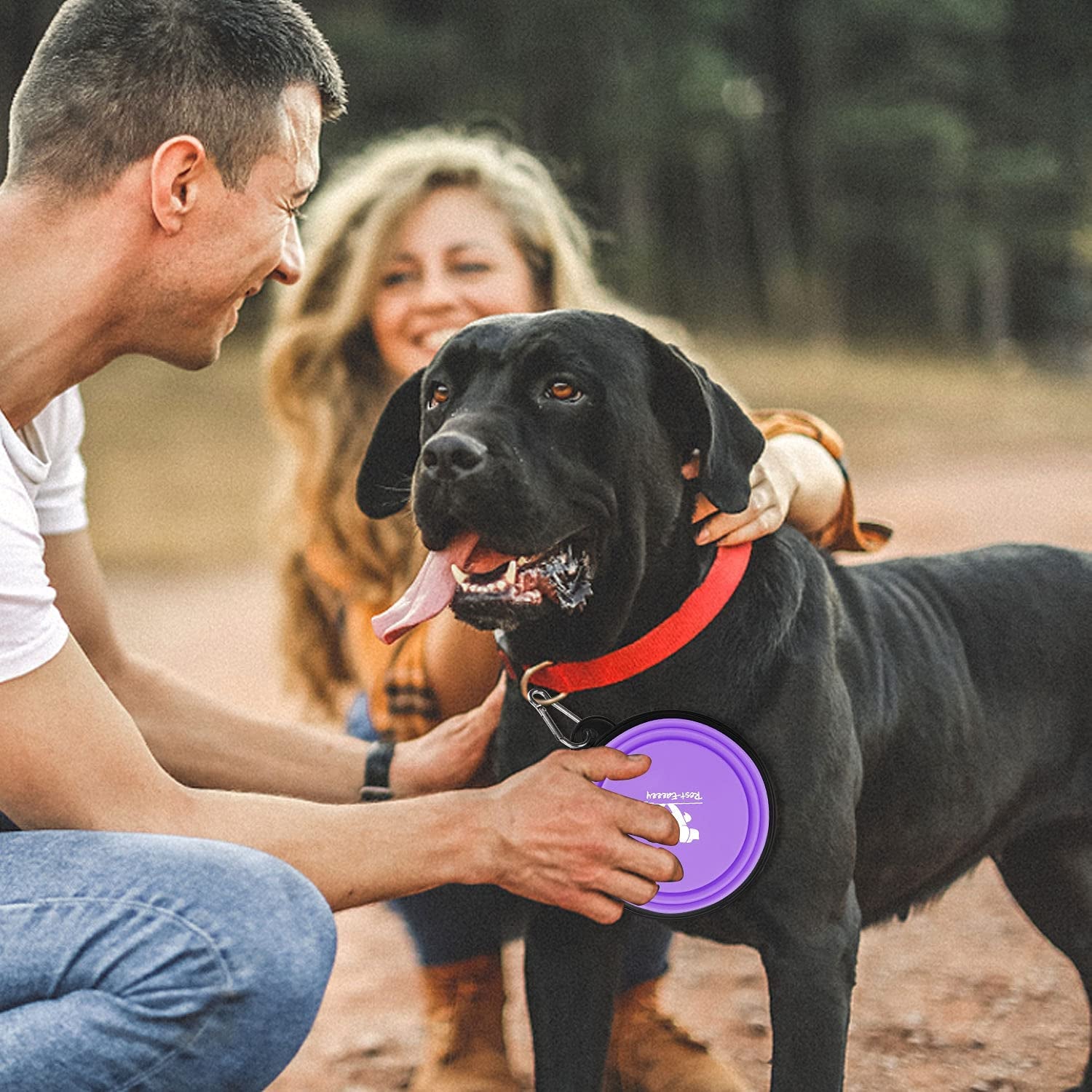 Collapsible Travel Dog Bowls - 2-Pack Portable Feeding and Watering Dishes for Pets, Foldable Design with Carabiners, BPA Free (Purple & Pink, Small)