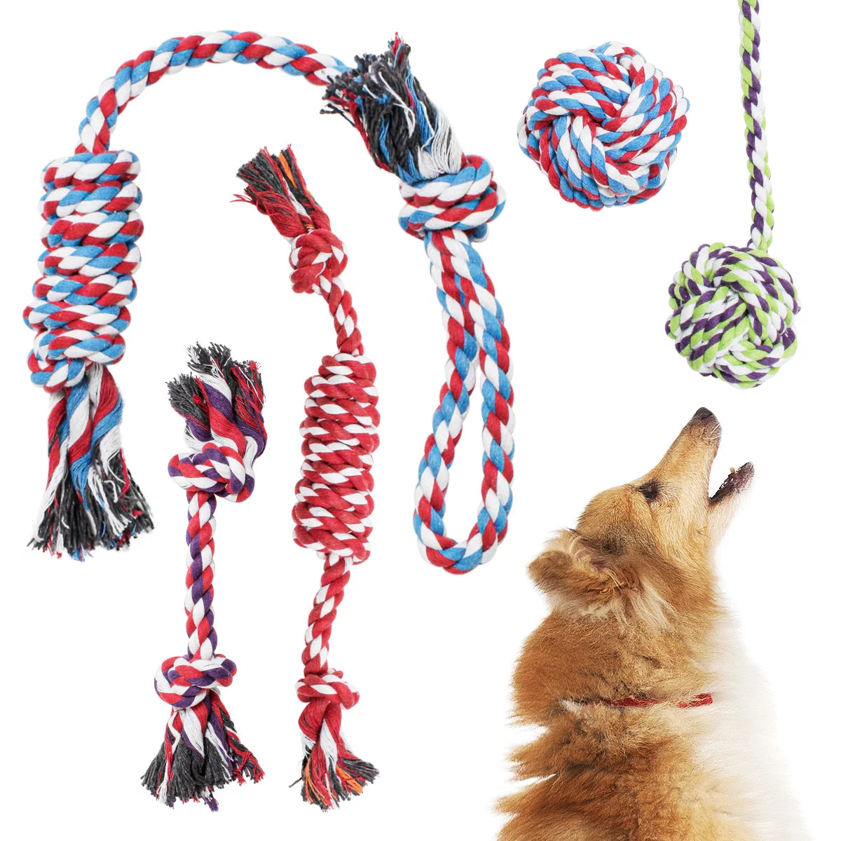 Pacific Pups Premium Rope Dog Toy Set - 5 Pack for Small and Medium Breeds