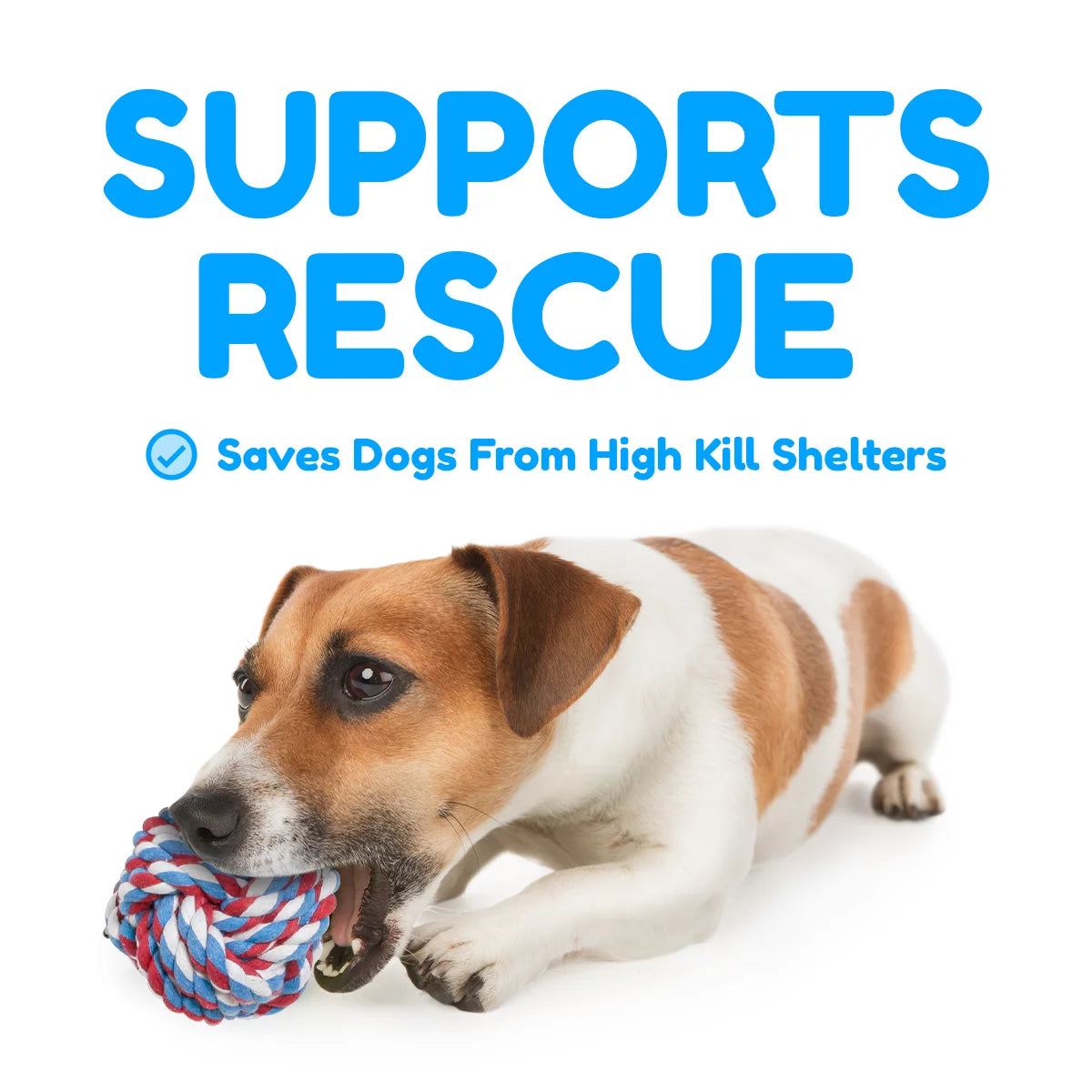 Pacific Pups Premium Rope Dog Toy Set - 5 Pack for Small and Medium Breeds