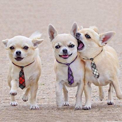 Adjustable Dog Neck Ties for Large Breeds, Bow Ties and Neckties for Pets, Grooming Accessories for Special Occasions and Costumes